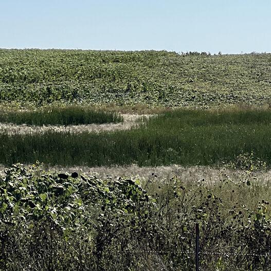 Storm damage