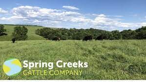 Spring Creeks Cattle Company logo