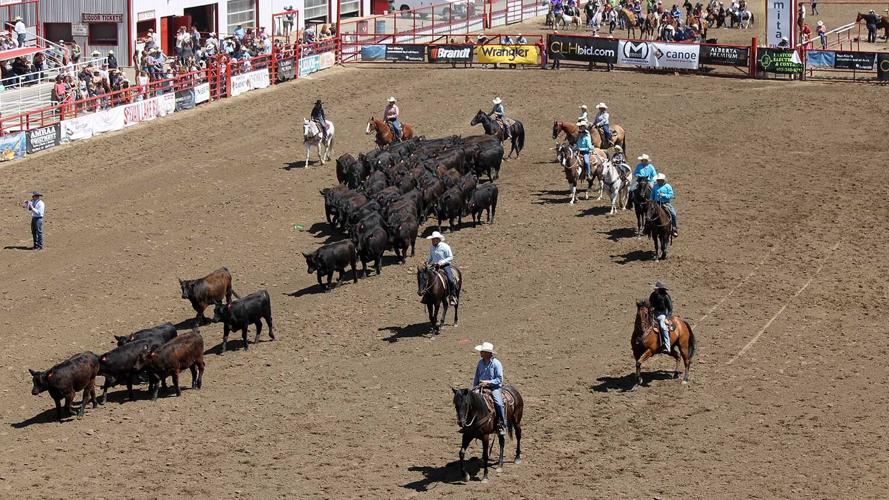 win-a-herd