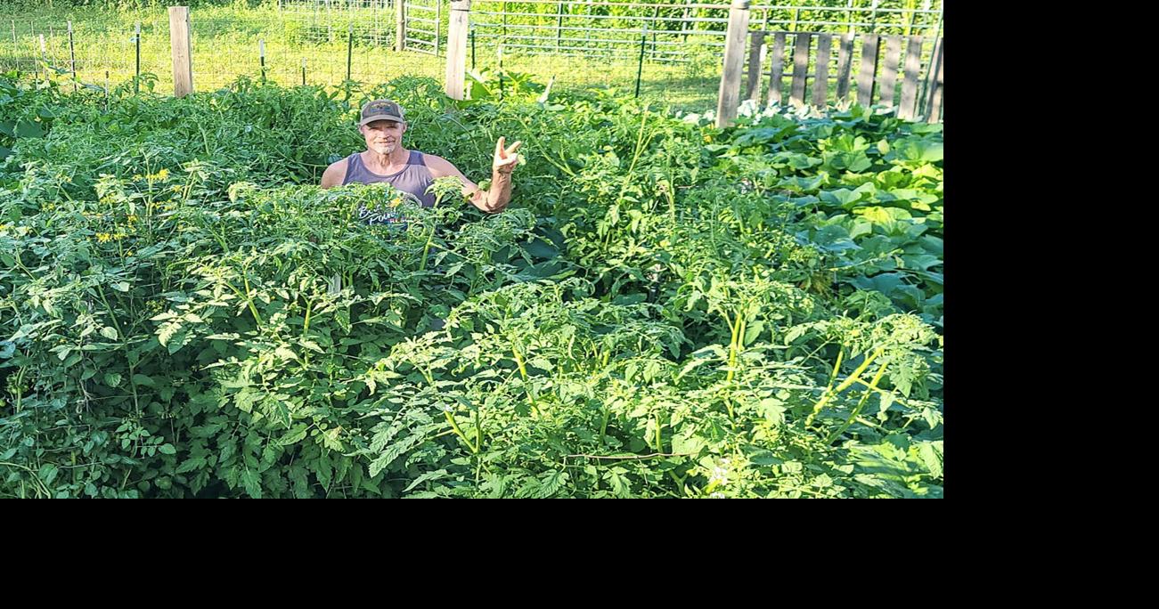 Mark Walters in garden