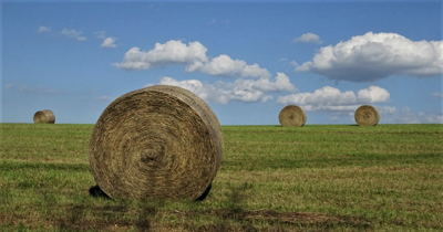 Hay bales