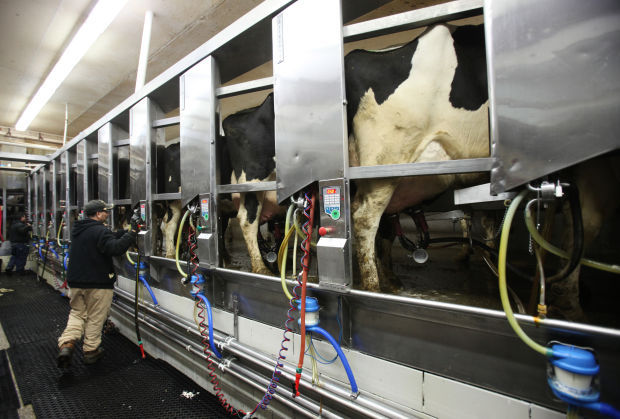 Milking parlor