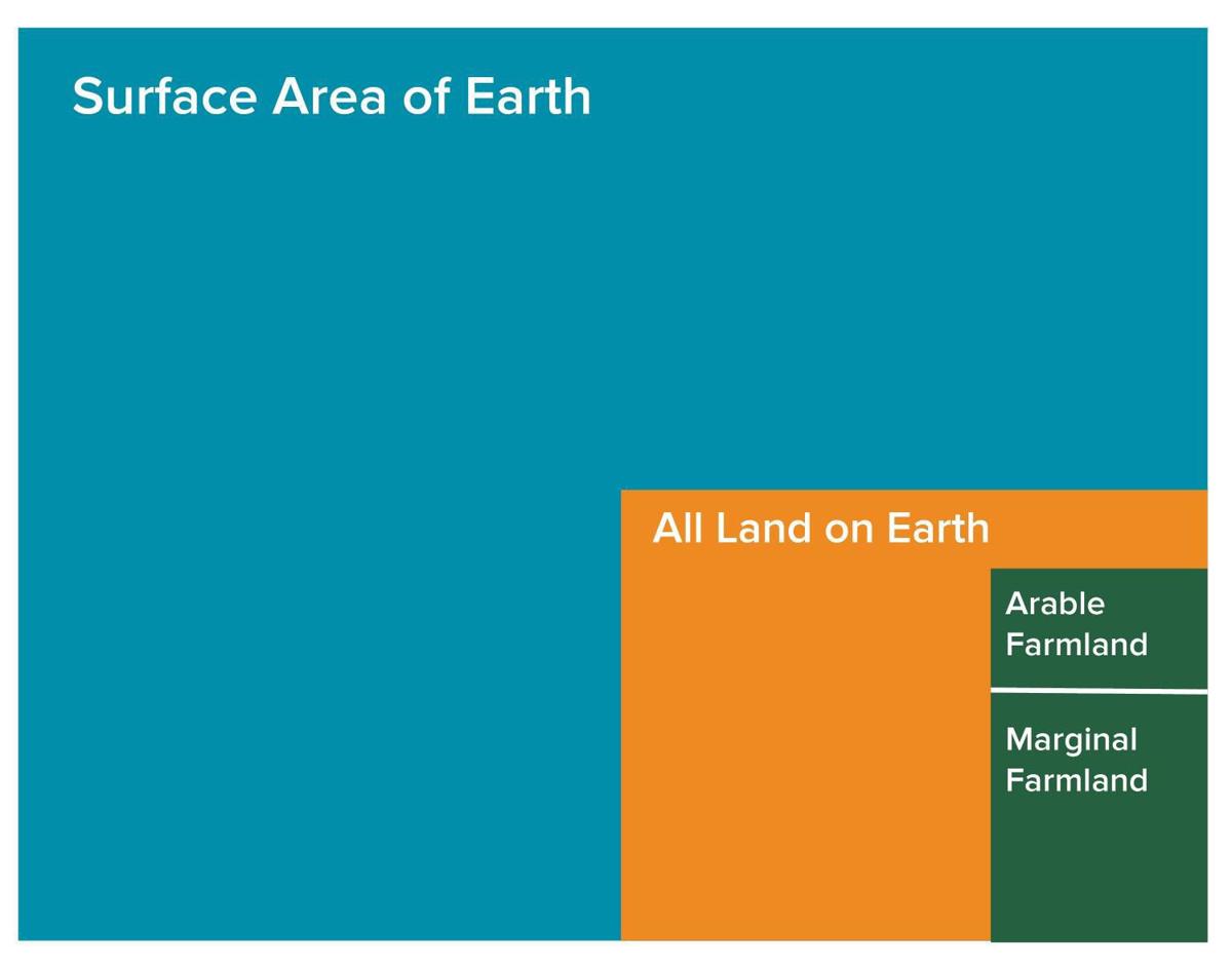 Surface Area of Earth