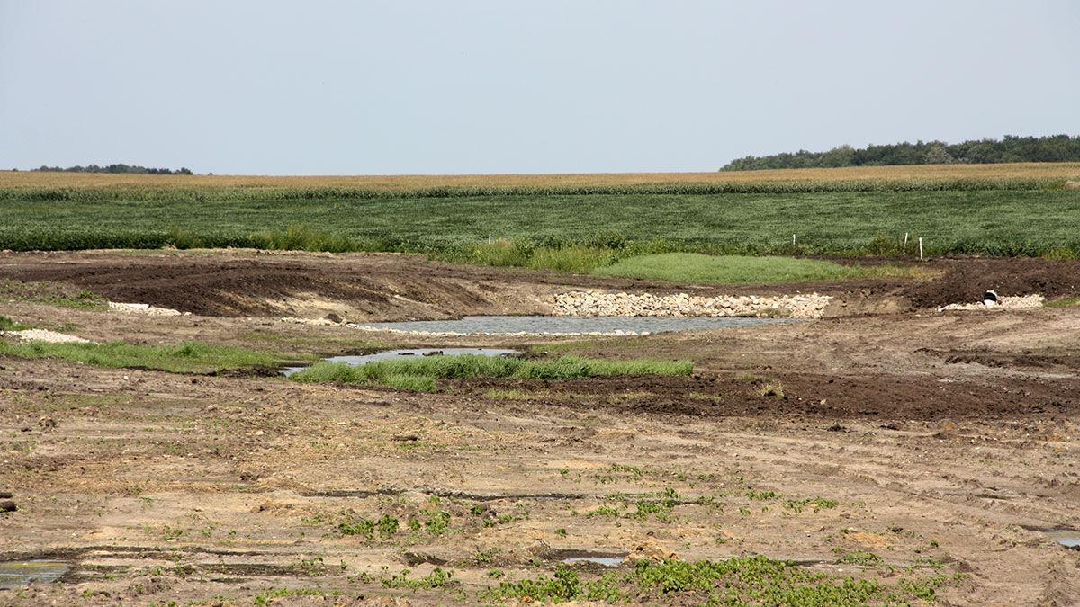 wetland habitat construction