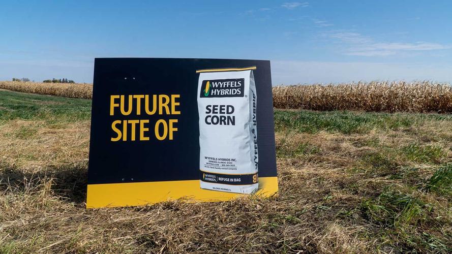 Wyffels-future--Iowa-Site