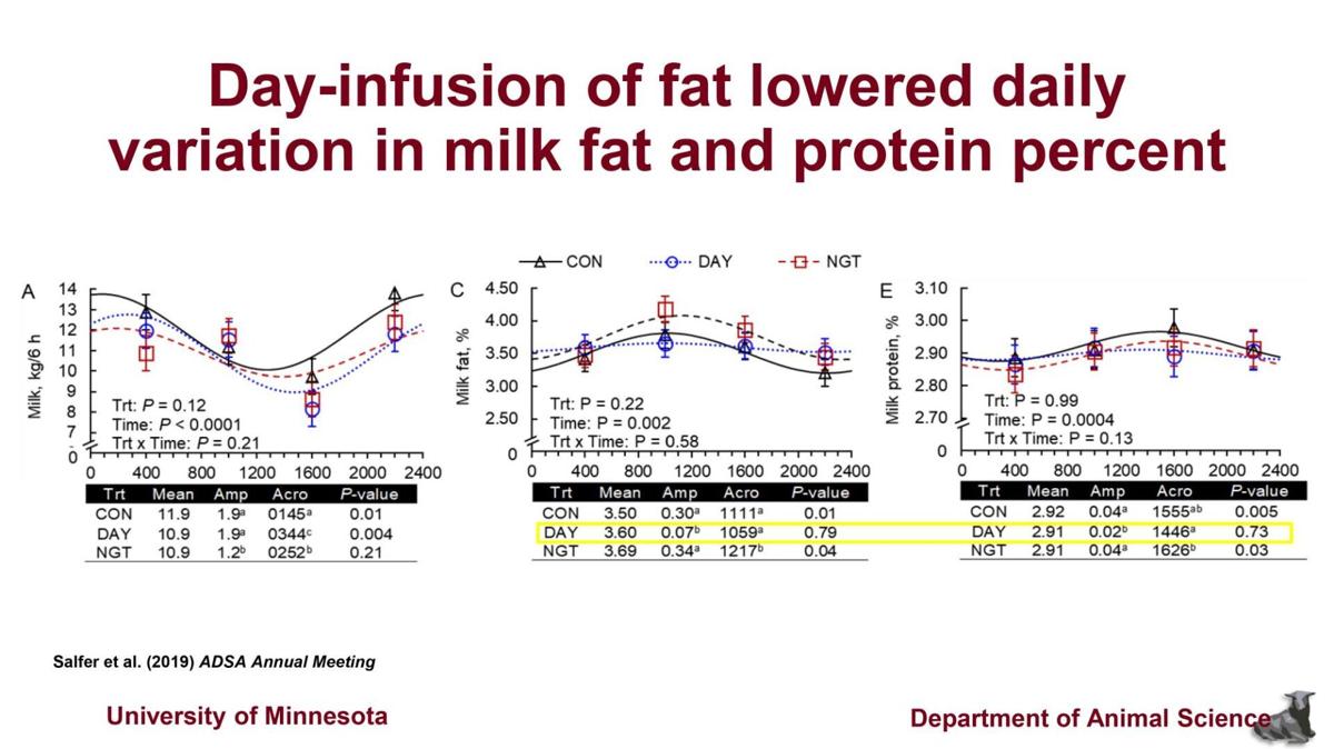 Day-infusion of fat lowered daily variation in milk fat, protein percent