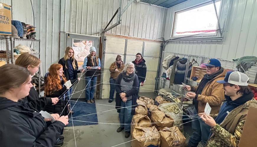 Wool to Runway activity