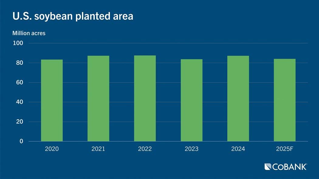 Soybean acres