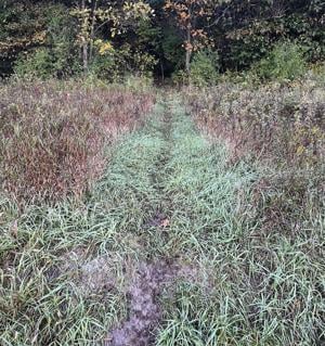 Deer trail