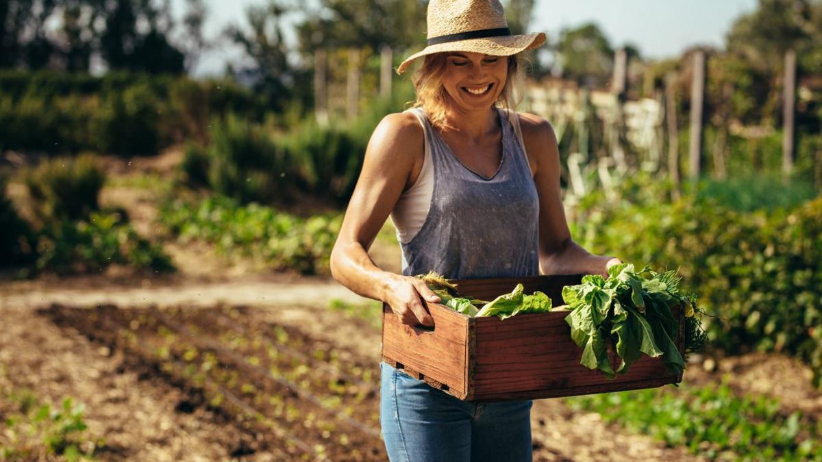 Montana Produce Prescription Collaborative links patients, farmers