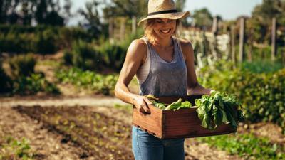 Montana Produce Prescription Collaborative links patients, farmers