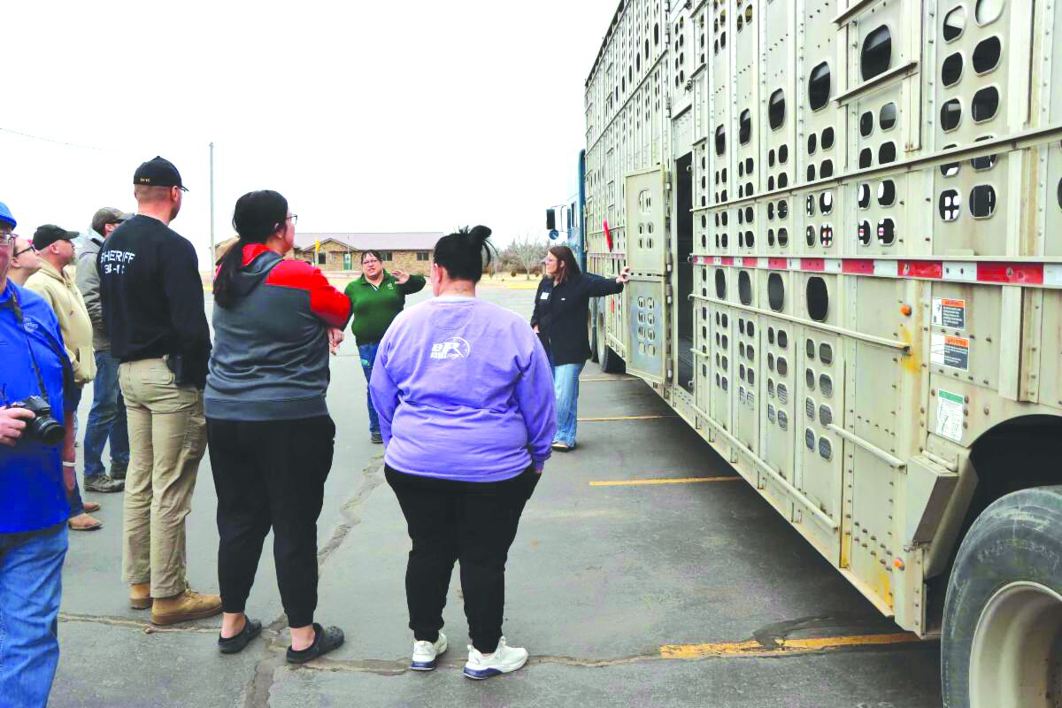 Livestock emergency training