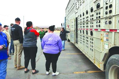 Livestock emergency training