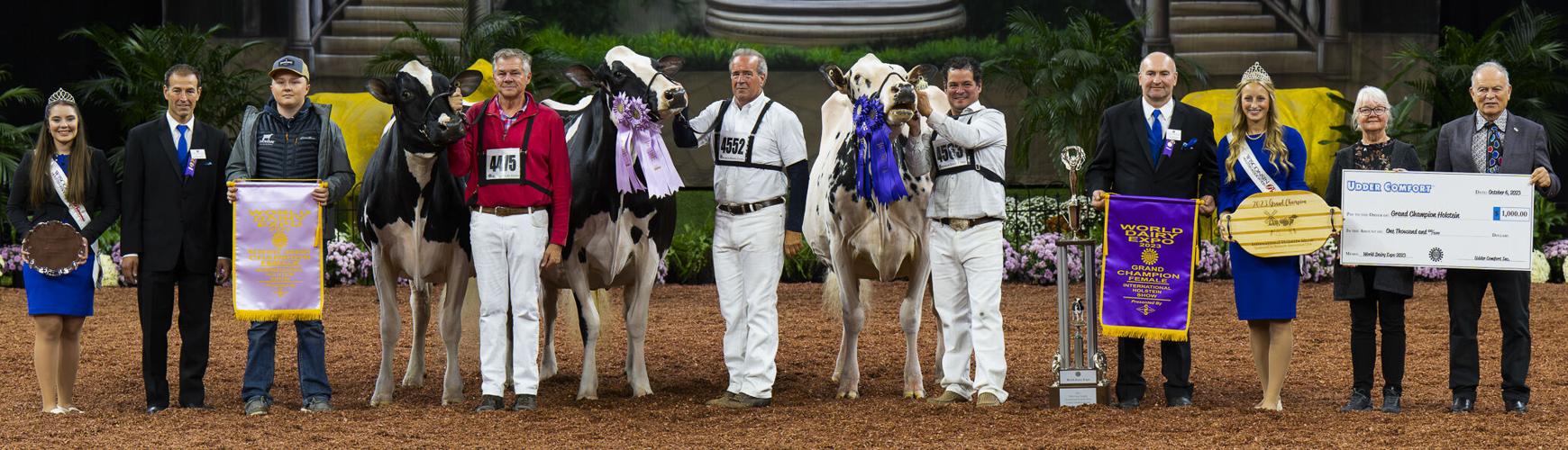 Grand champion and reserve grand champion of 2023 International Holstein Show