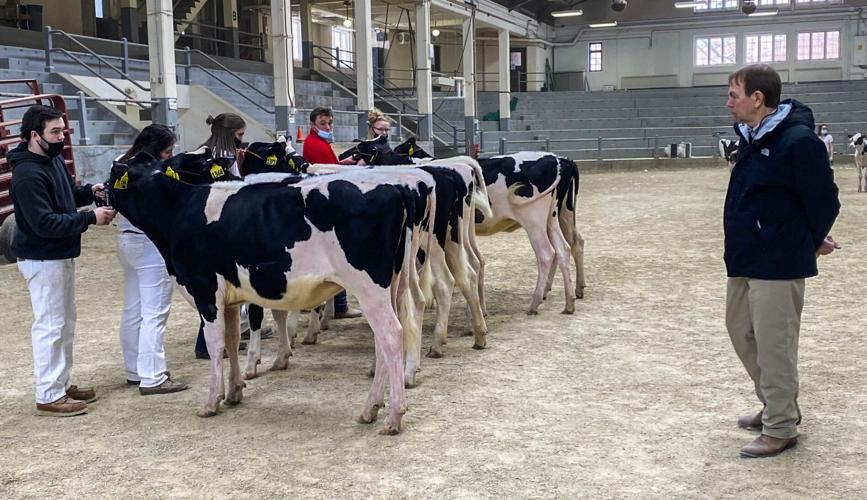 Short Course students participate in dairy showmanship class