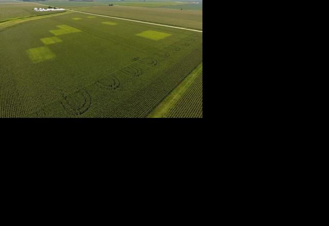Iowa Nitrogen Initiative field