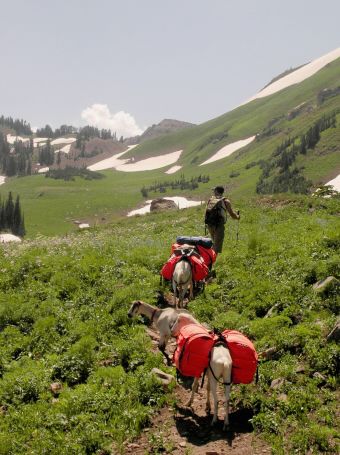 Pack goats: A hunter’s new best friend 2