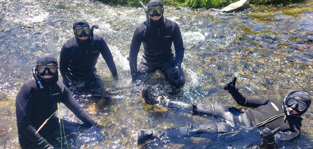 Salmon research