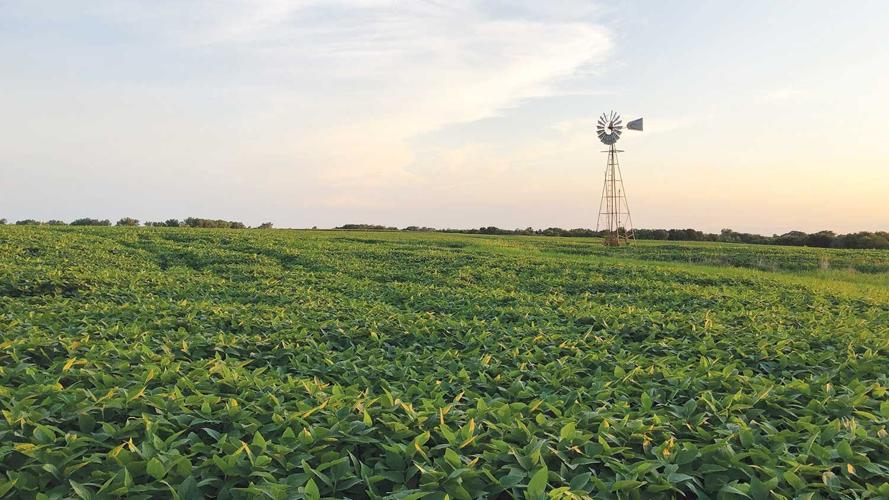 farm-scene-windmill-2
