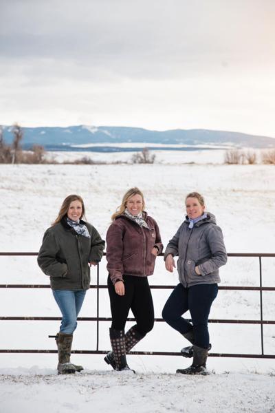 Montana RancHERS band together to direct market beef