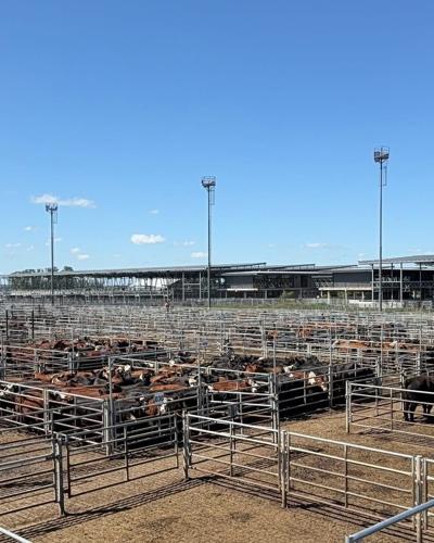 Argentina salebarn 4.jpg