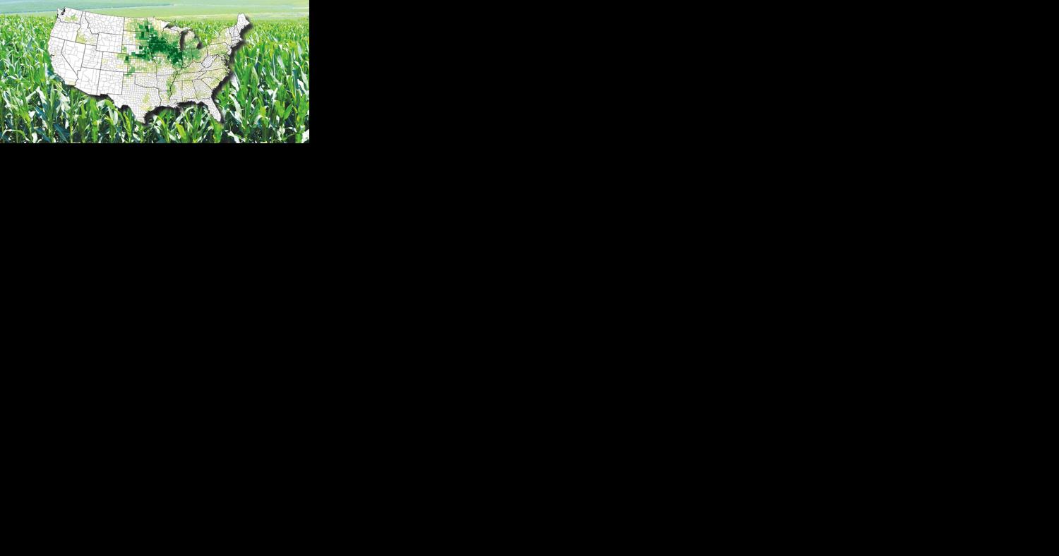 Changing climate may shift the Corn Belt slightly - Vimarsana News