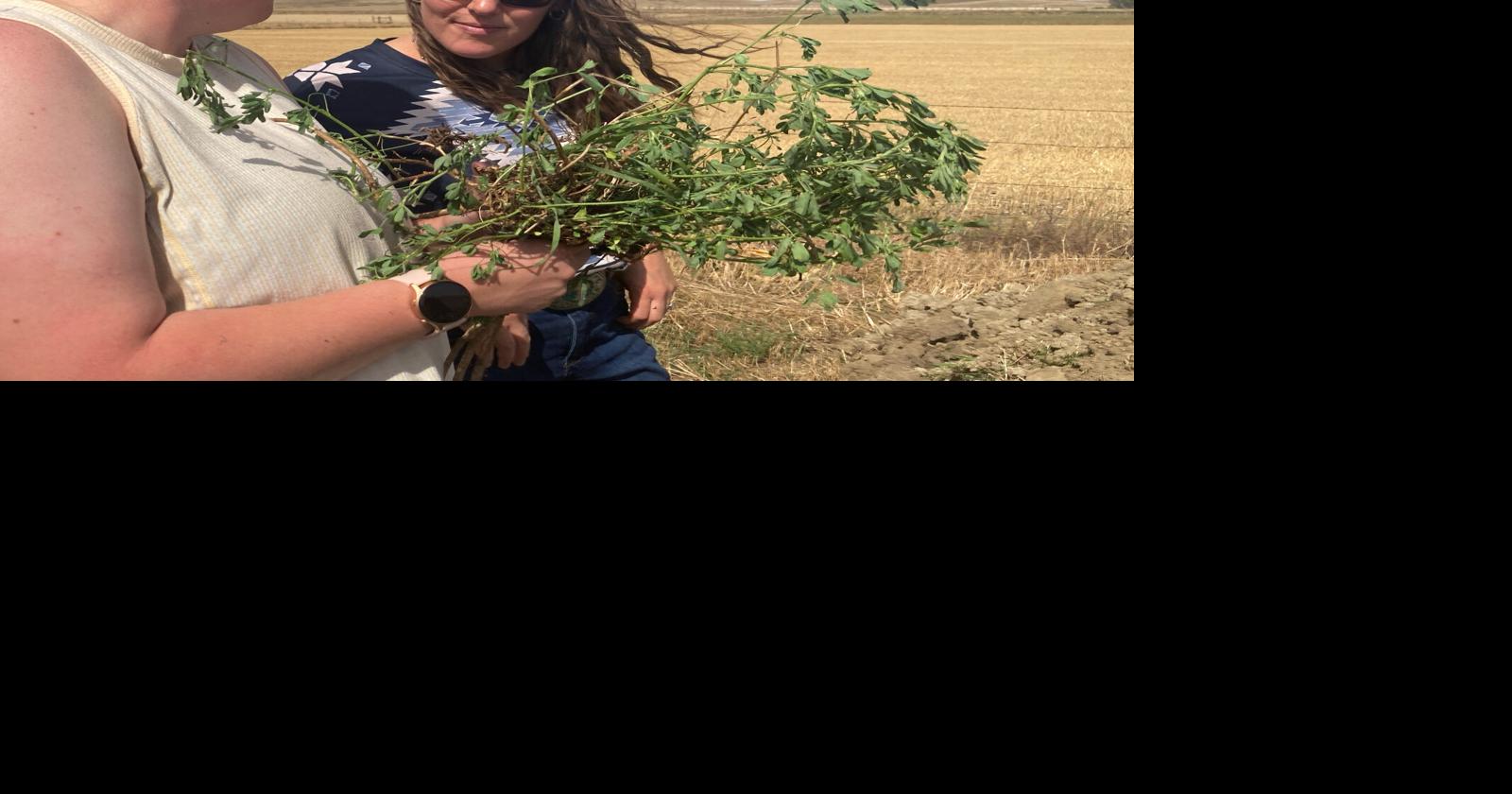 Soil Health Workshop