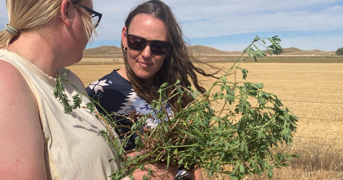 Soil Health Workshop