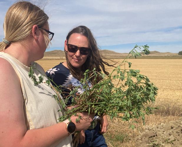 Soil Health Workshop