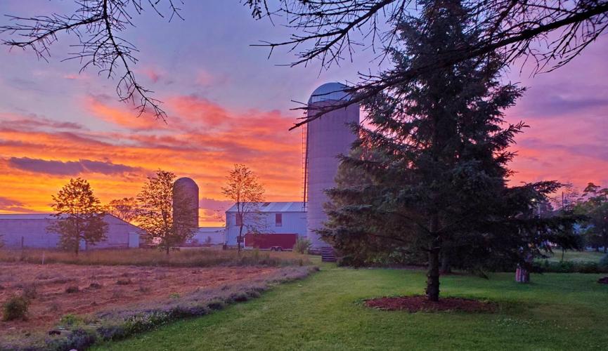 Sunset farm of Patti Schevers