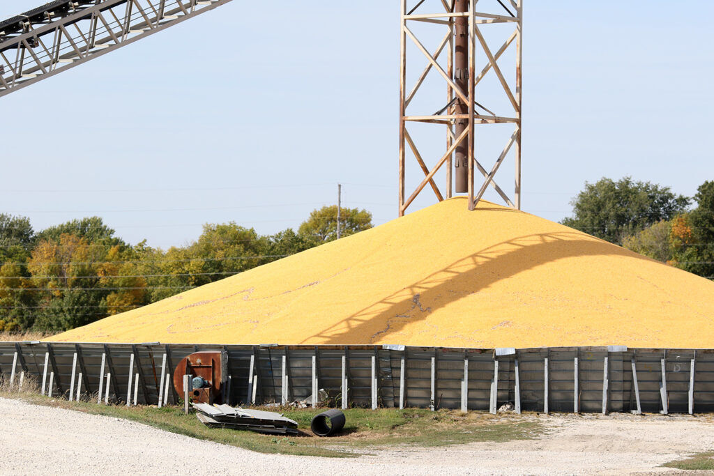 Corn pile