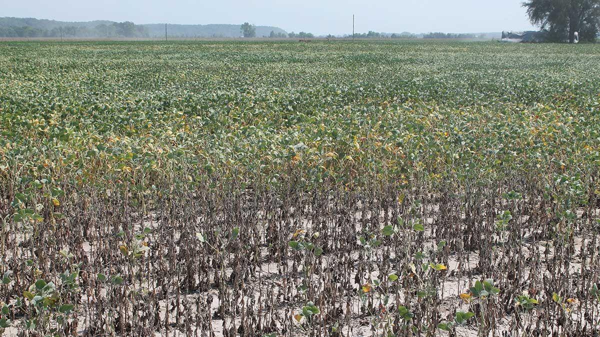 SDS field issues