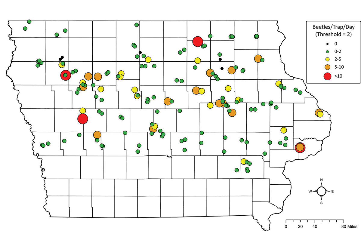 corn rootworm map