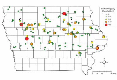 corn rootworm map