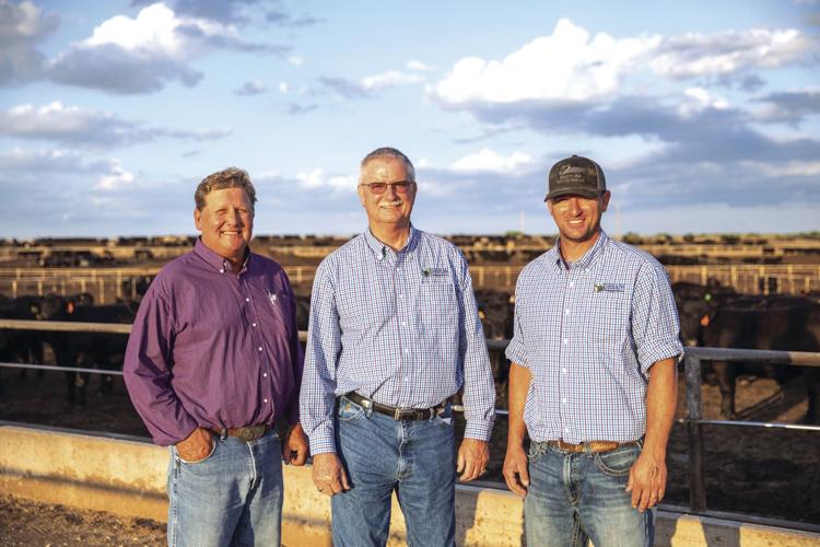 Kansas Feedyard 1.jpg