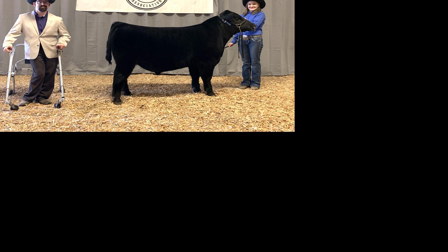 Osceola exhibitor takes top Angus bull honors Livestock