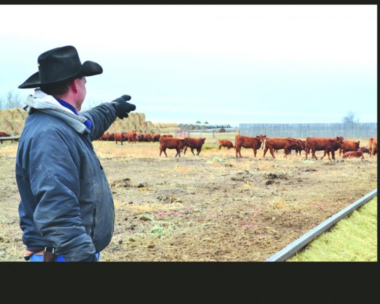 McHenry County rancher