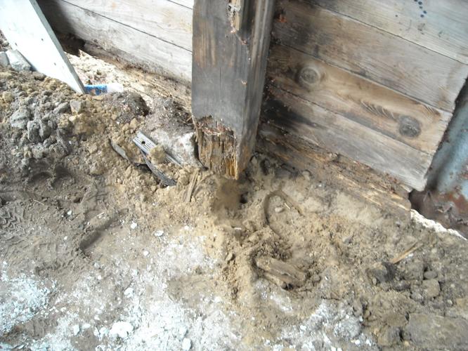 Before Winterize work