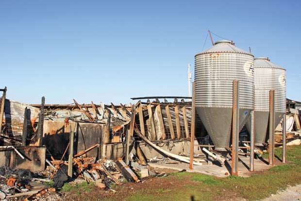 Leon Sheets - Fire 2