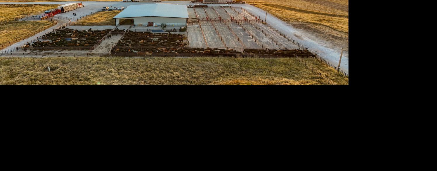 Klosterman Feedlot Innovation Center