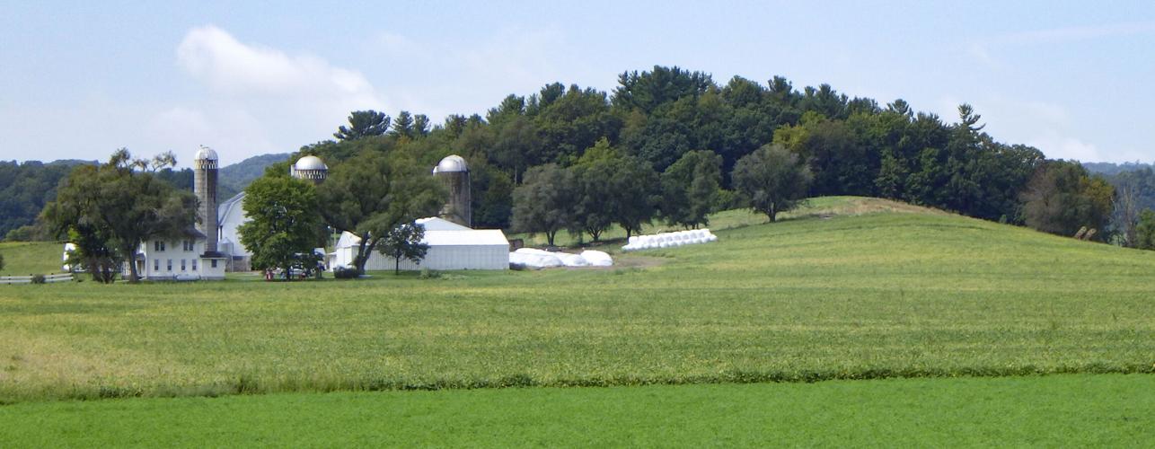 Farm and farmland