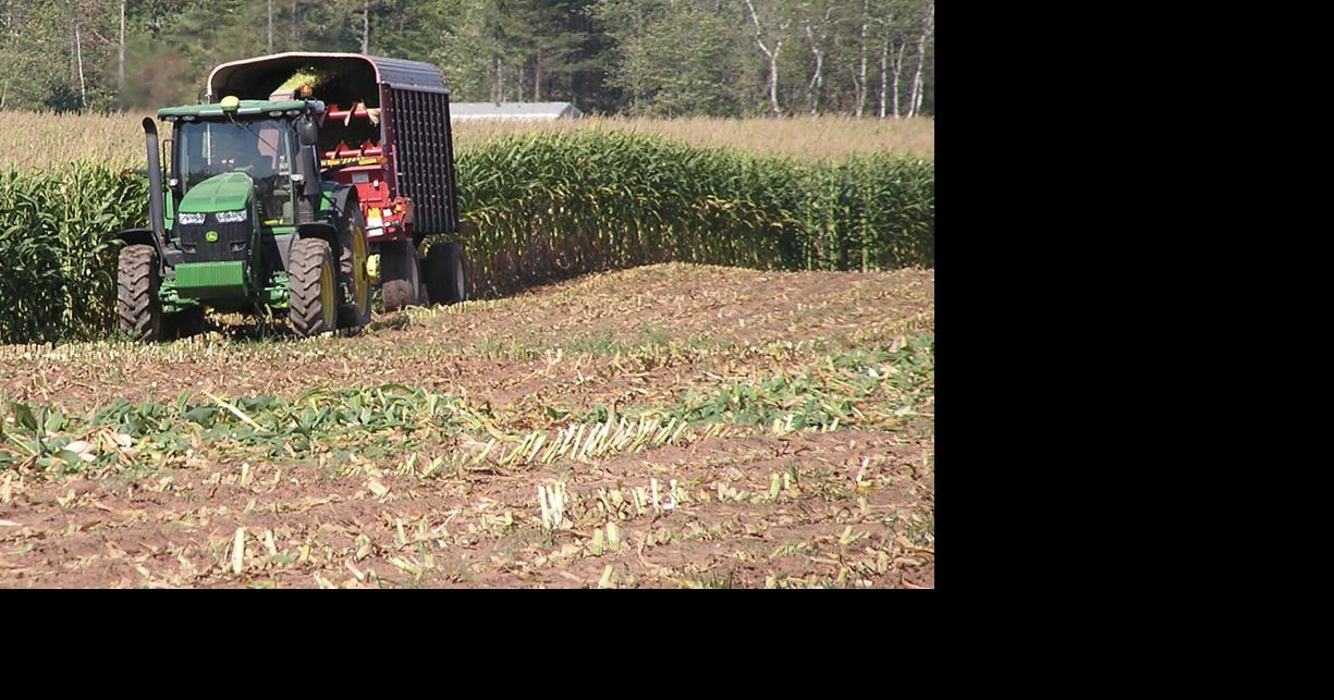 Corn, soybean basis strengthens
