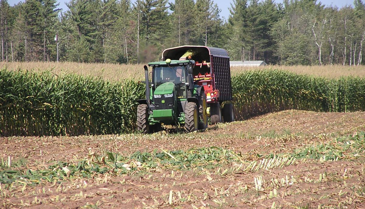 Tractor in field