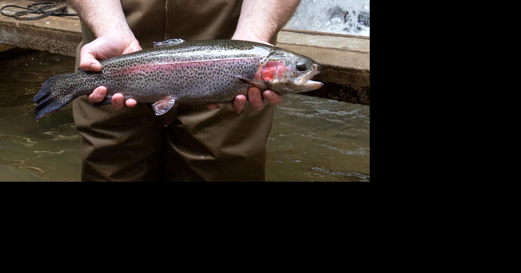 Shrimp farming (6).jpg