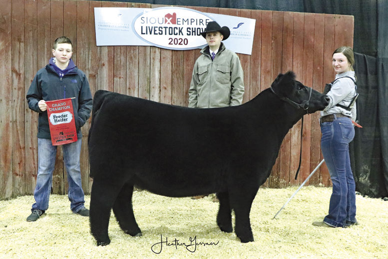 SELS results Top feeder heifer comes from Iowa