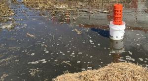 Quick response critical to reducing impacts of manure spills
