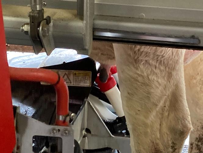 Robotic Dairy 8.jpg