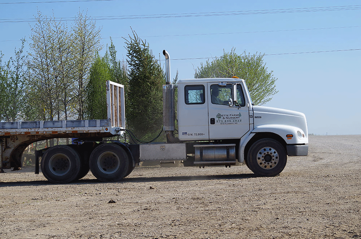 tree farm truck