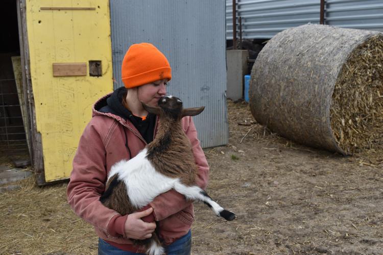 Crop Watcher Severtson (34).JPG