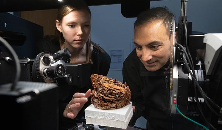 Dr. Nikhilesh Chawla , Grad Student Nicole Balog
